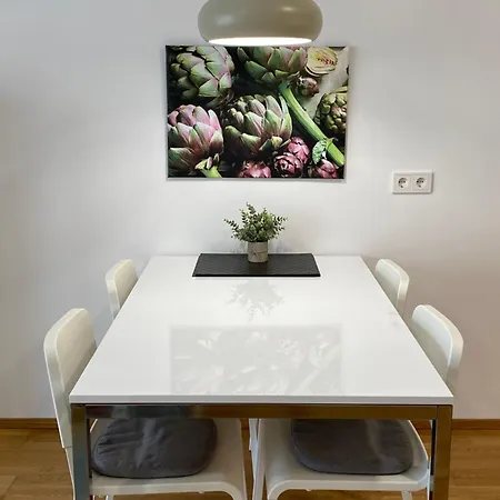 Apartment Ebelsberger Terrassen *